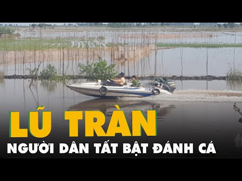 Video Nước lũ tràn đồng, người dân vùng biên tất bật đánh... - youtube