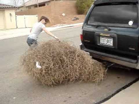 Tumbleweed Attacks Girl (Brittney)