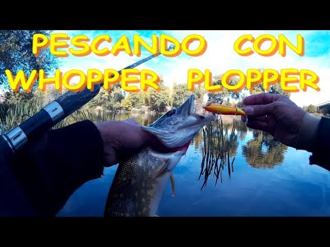 Video: Pesca Del Lucio En Un Flotador