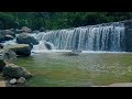Waterfall Flow in a Tranquil Forest Setting – Natural White Noise for Sleep and Stress Relief