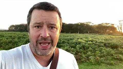 How to stop dog behaviour problems?  Place your focus on what  you WANT! Jamie Penrith Take the Lead