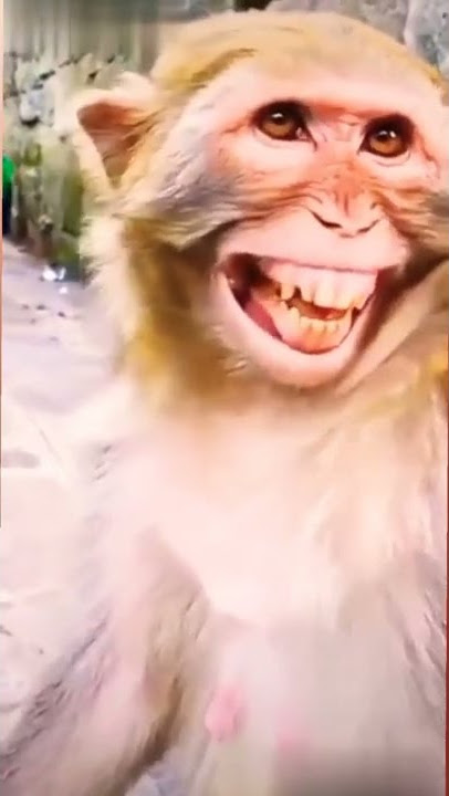 cute bandar #instagram #tiktok #status #funny #facebook #foryou