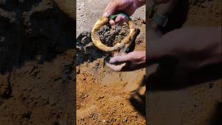 Gold Detector #golddetectors #metaldetecting #treasuresearch #metaldetector #treasuretrove