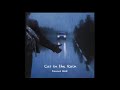 Car in the Rain (Daniel Holt)