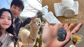 vlog | 알파카 보러 간 날 🐑 | 뉴카메라 생겼다! 📷 | 4월 모음zip. 🎬