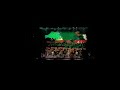 Tyler Childers concert PT 2