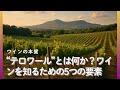 【ワインの本質】“テロワール”とは何か？ワインを深く知るための5つの要素