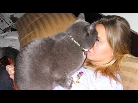 try-not-to-die-from-laughing-too-hard---funniest-animal-compilation
