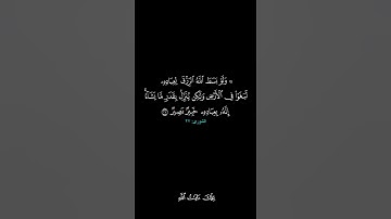 وهو الذي يقبل التوبة عن عباده ويعفو عن السيئات ويعلم ما تفعلون ۞ سورة الشورى ۞ الحصري