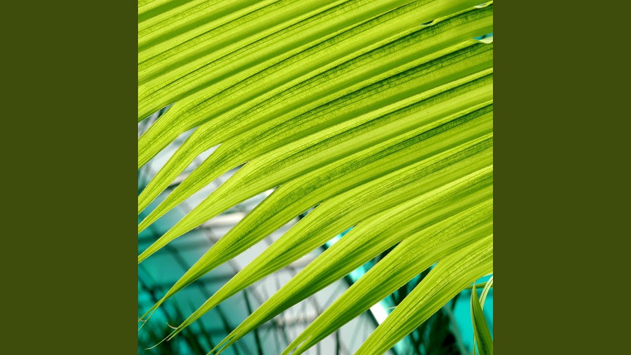 Holdon adlı videoyu YouTube'da izle Holdon adlı videoyu YouTube'da izle