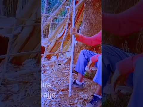 Haacaluu Hundessaa Maalan Jira