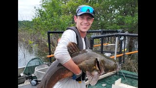 Dr. Aaron Krolow on the flathead catfish
