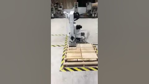 Danbach palletizer robot