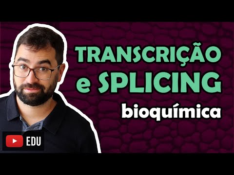 Vídeo: Onde ocorre o splicing na célula?