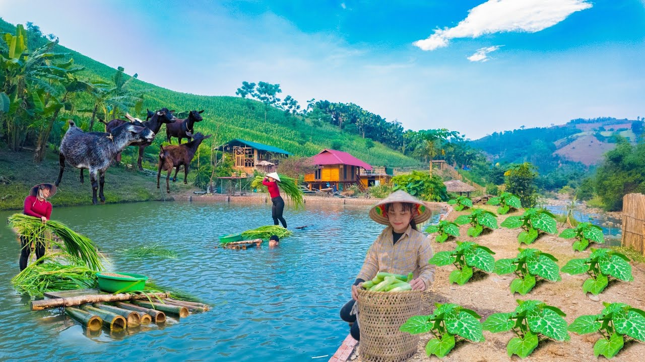 Получите максимум от сада своей мечты: советы по выращиванию и круглогодичный сбор урожая!