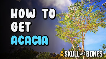 How to Get Acacia - Acacia Location | Skull & Bones