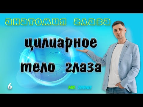 Видео: Когда сокращается цилиарная мышца глаза?