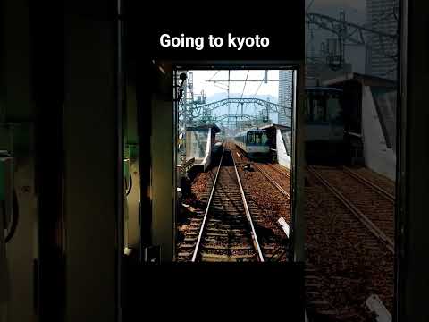 오사카에서 교토를 갔다면 다들 봤을 그 장면 #vlog #여행 #교토 #나라시 #오사카  #travel  #train #japan #kyoto  #railway #shorts