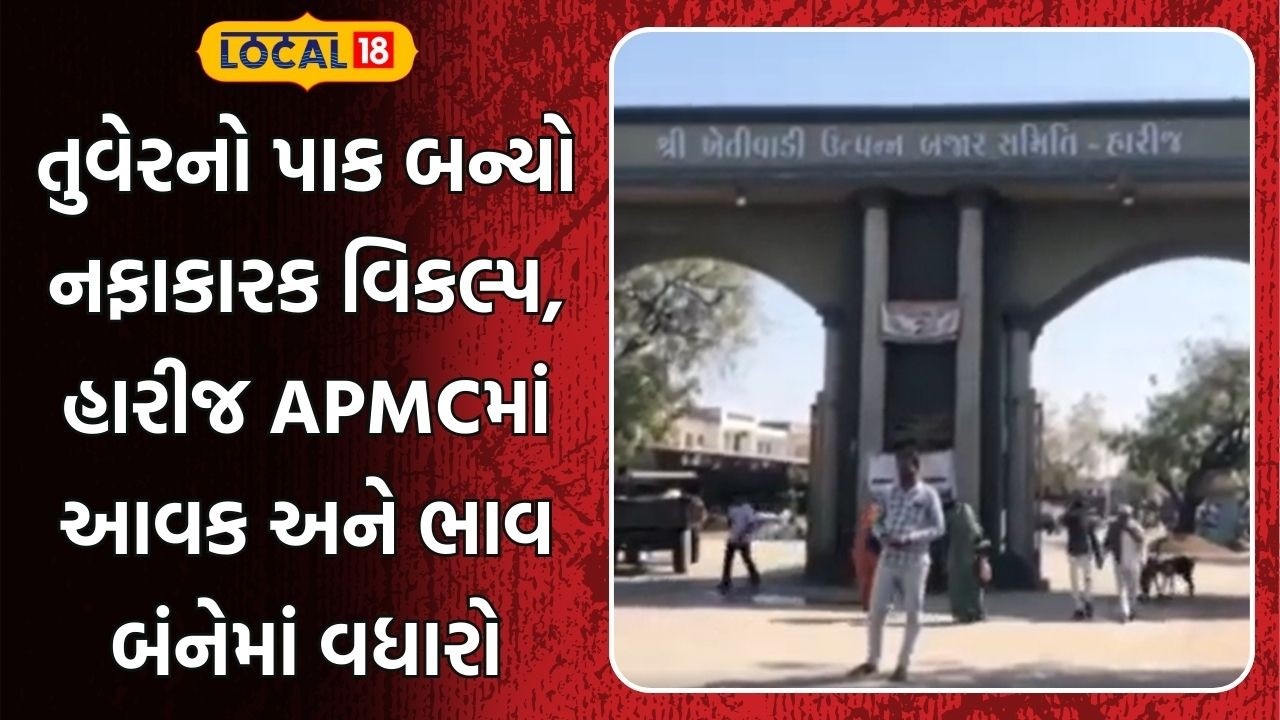 Patan News | તુવેરનો પાક બન્યો નફાકારક વિકલ્પ, હારીજ એપીએમસીમાં આવક અને ભાવ બંનેમાં વધારો | Local18
