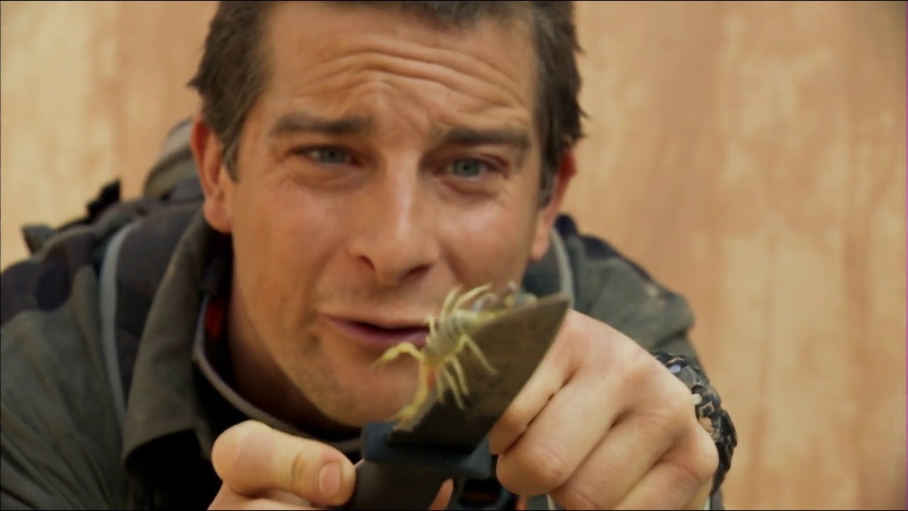 Discovery Plus now on Dailyhunt app Animal YouTube