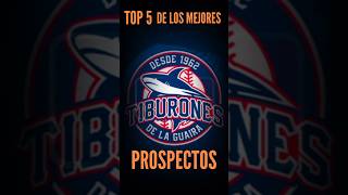 CONOCE LOS 5 MEJORES Prospectos de tiburones #tiburones #lvbp #beisbolvenezolano #beisbol