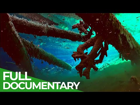 Vídeo: Unique Green Lake: mundo subaquático no meio da Áustria