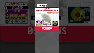 【台風6号】鹿児島県の一部が暴風域に  枕崎市では強風で信号機が倒れる  #shorts