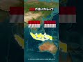 何故インドネシアとモナコの国旗はそっくりなのか？ #地理 #インドネシア #モナコ #国旗 #地政学