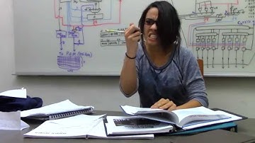 Final Project: Music Video Rough Draft V1