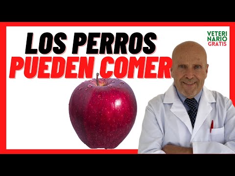 Video: Manzanas Para Perros - Beneficios De Las Manzanas Para Perros