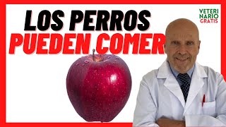 🍎 Los Perros Pueden Comer Manzana (Roja, Verde, Amarilla) 🍎 Una De Las Mejores Frutas Para Perros