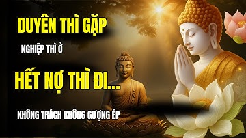 Người Đến Là Duyên, Người Ở Là Nợ – Hết Nợ Thì Buông, Ấy Là Tuệ Giác