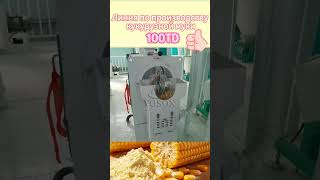 Завод по переработке кукурузы 100 тонн/сутки | Промышленный инжиниринг VOSON