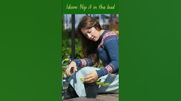 What Does "Nip it in the Bud" Mean? Idiom Explained!  #Idioms #Shorts #idiomsoftheday