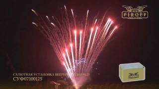 СУФ07100125.wmv