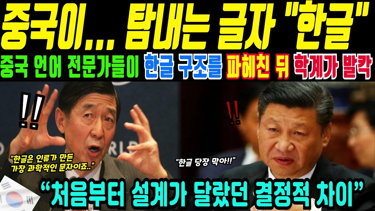 중국이 탐내는 글자 ‘한글’, 학계가 발칵 뒤집힌 진짜 이유(해외감동사연)