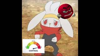 LOW CORTISOL but with #raboot