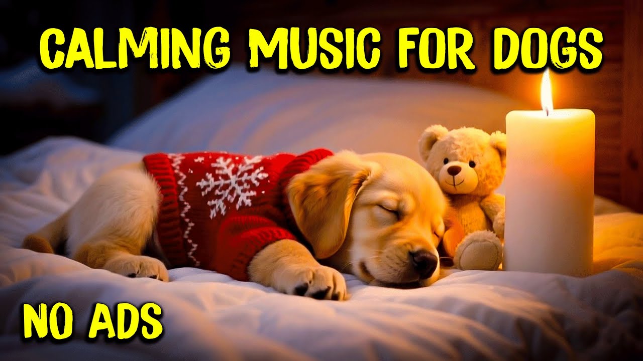 12 ЧАСОВ успокаивающей музыки для собак 🔥❄️Музыка против разлуки и тревожности🐶Исцеление сна для с
