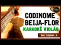 Codinome Beija-flor - Cazuza - Karaokê com Violão