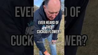 Ever heard of cuckoo flower? ) #cuckooflower #ladiessmock #wildfloweruk #riverforth #springflowers