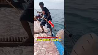  Fakta Mengerikan Sengatan Uburubur Ini Bisa Bunuh Manusia Dalam 1 Jam  boxjellyfish