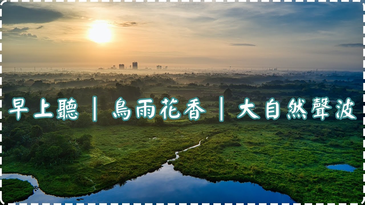 早上起來聽的音樂 鳥雨花香 大自然聲波 【1小時】減壓用、作業用、休息用、睡前用 | Human Is Alive auf YouTube ansehen 早上起來聽的音樂 鳥雨花香 大自然聲波 【1小時】減壓用、作業用、休息用、睡前用 | Human Is Alive auf YouTube ansehen