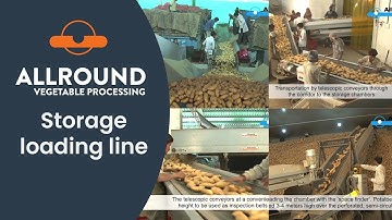 Storage loading line | Allround Vegetable Processing