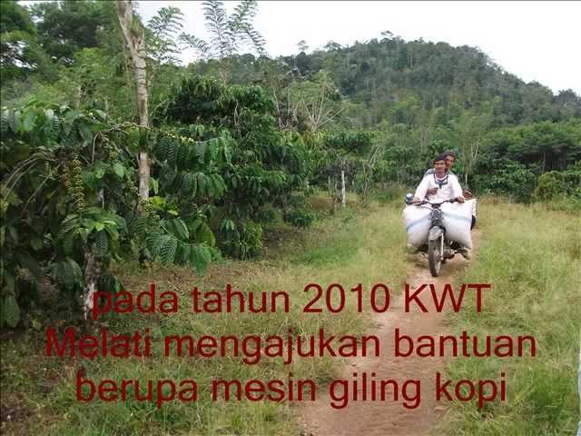 Luwak Coffee and Palm Sugar Processing in Lampung , Indonesia