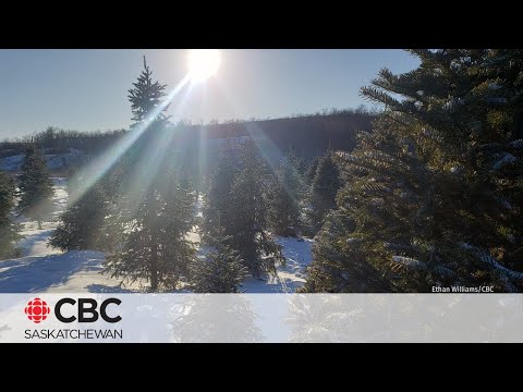 CBC SK News: