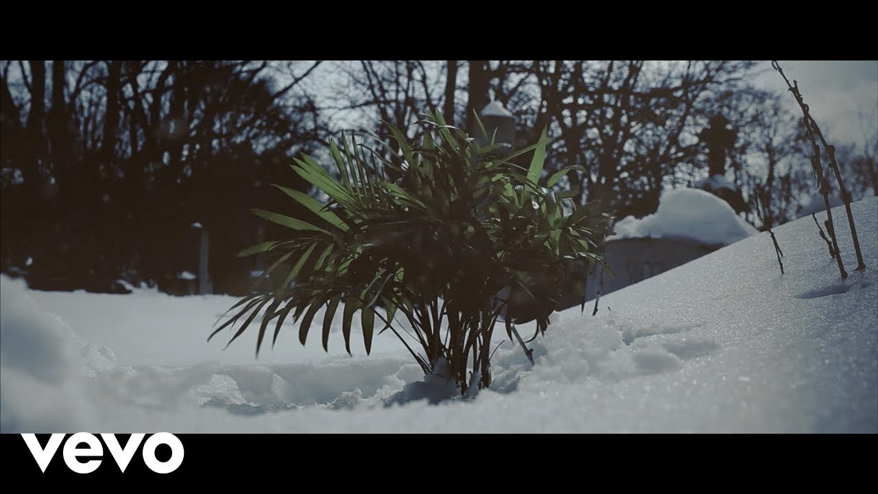 WSTLNDR, Evil Sardine - SHO118131