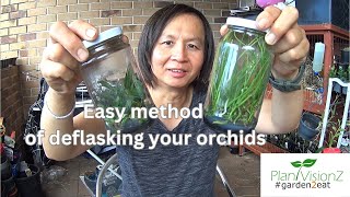 Easy method of deflasking your orchids