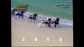1996 Scioto Downs TOUGH DRAGON Chip Noble Hill Farms 2YO C&G Pace Series Leg
