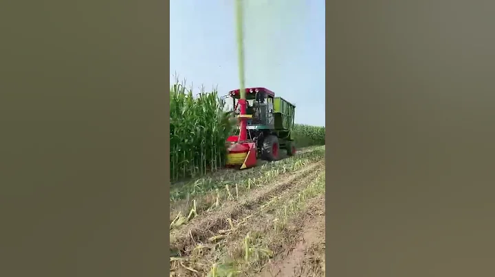 Corn Harvest #Machine - DayDayNews