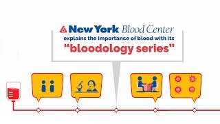 NYBC Bloodology Animated Series I Animation by Magic Spangle Studios